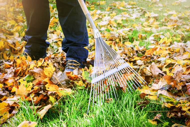 Man raking the fallen leaves