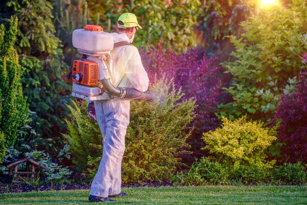 spraying pesticides