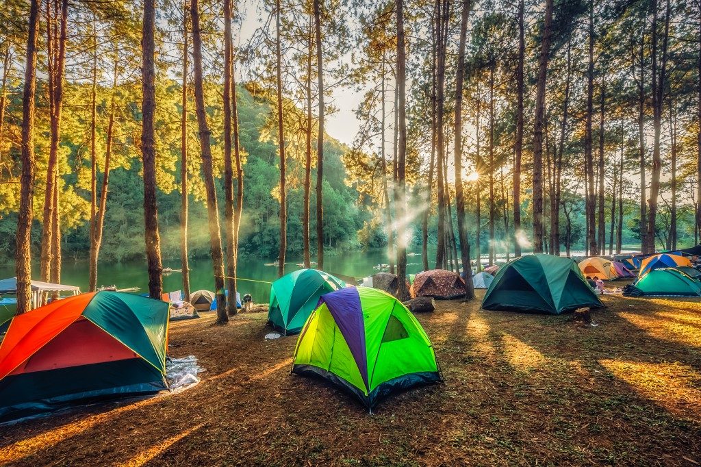 tents in the forest
