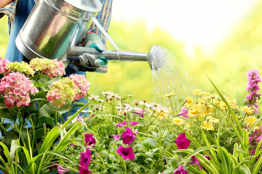 gardening tips