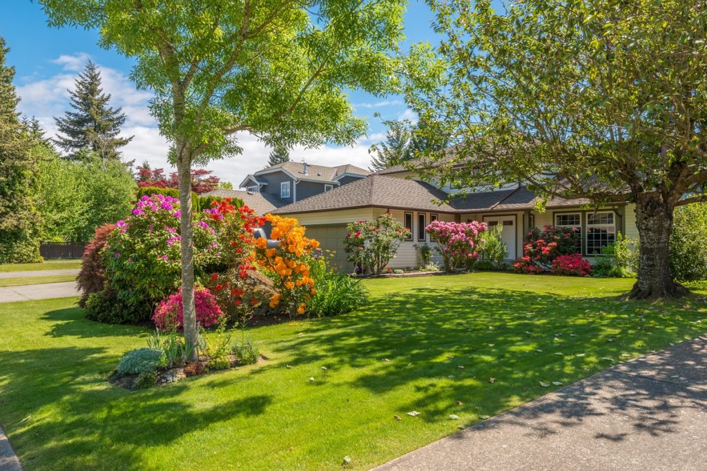 house landscape