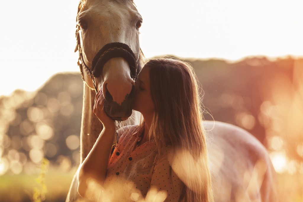 Horse with owner