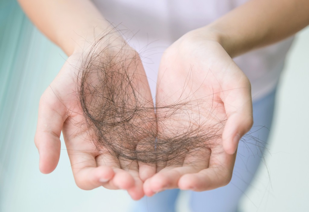 person holding some loss hair