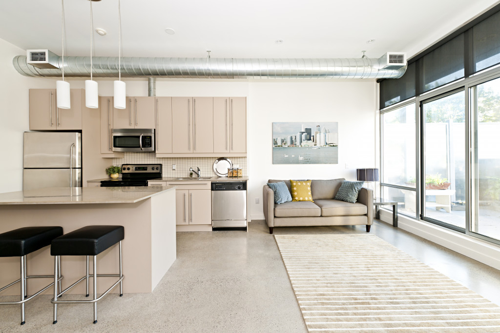 apartment kitchen and living room