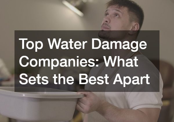 Top Water Damage Companies What Sets the Best Apart